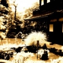 L'Angolo del Blurry #10 - 雨が... Rain