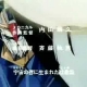 Che fine ha fatto lo Z Gundam???