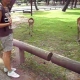 Kyoto life - Nara: i templi, il parco e i cervi