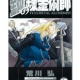Fullmetal Alchemist 17 