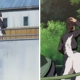 Naruto Shippuuden 61 ITA