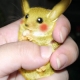 Comprare un vero Pikachu? E' realtà